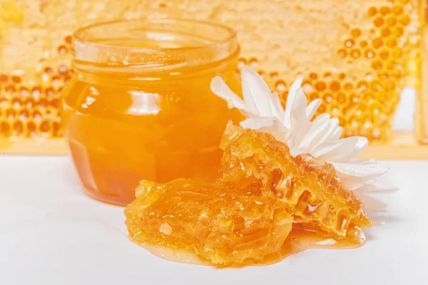Fresh Honeycombs White Background — Stock Photo, Image
