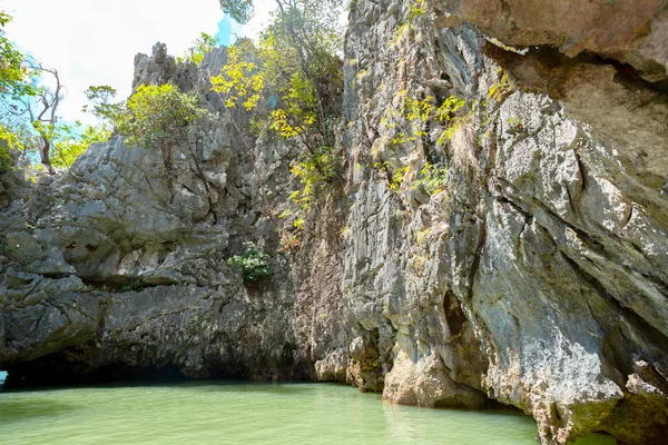 Літня Лісова Річка Ландшафтний Дизайн — стокове фото