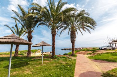 Tropik sahil, plaj, yakın