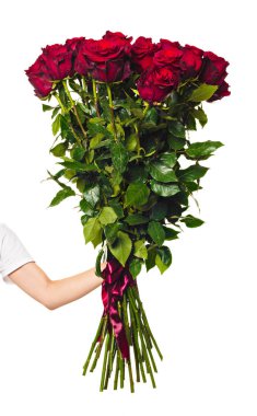 Beyaz arkaplanda kırmızı güller.