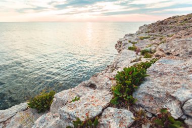 Plajda kayalıklarla arka plan mavi bir deniz üzerinde açık gökyüzü