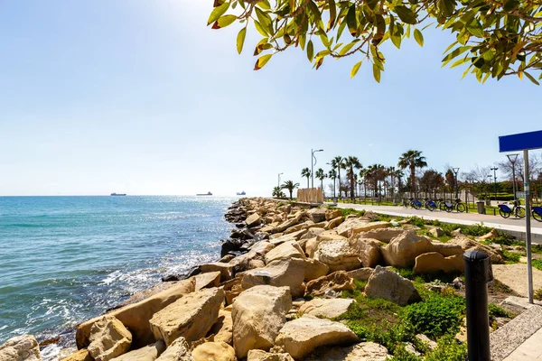 Tropik sahil, arka plan kumsalda