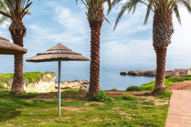 Tropik sahil zekâ denizde gündüz 