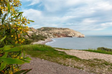 Tropik sahil zekâ denizde gündüz 