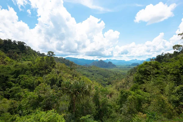 Tropicale Foresta Pluviale Collina Paesaggio — Foto Stock