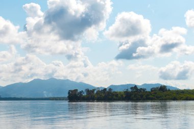 Yaz orman nehir aralığı manzara.