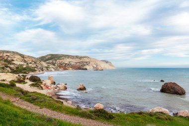 Tropik sahil zekâ denizde gündüz 