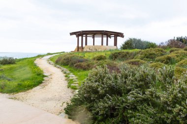 doğal yeşil ağaçlar ve çalılar arka yolu ile