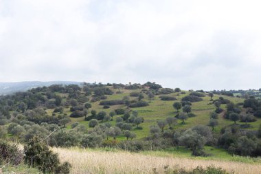 Dağ manzarası orman manzaralı Vadisi 
