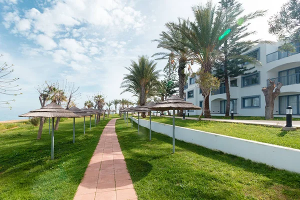 Strada Vuota Bel Confortevole Grande Giardino Sotto Bel Cielo Blu — Foto Stock