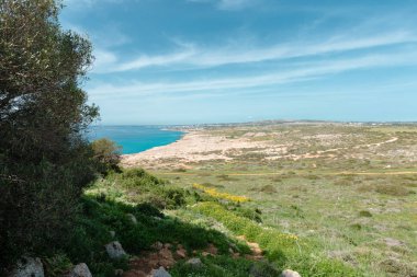 Dağ manzarası orman manzaralı Vadisi 