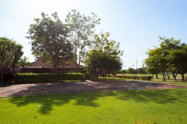 Güzel ve rahat bir bahçede, boş bir sokak. Güzel mavi gökyüzünün altında.