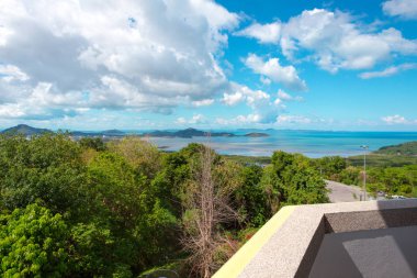doğal yeşil ağaçlar ve çalılar arka yolu ile