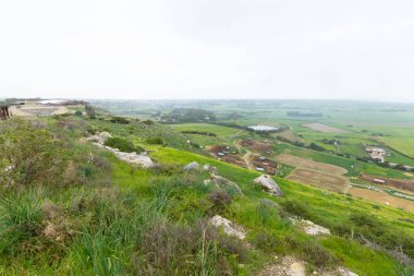 doğal yeşil ağaçlar ve çalılar arka yolu ile