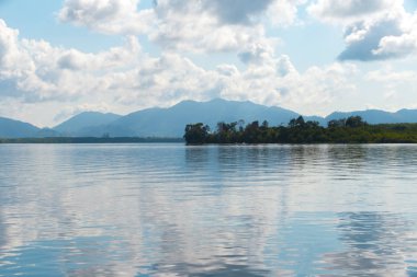 Yaz orman nehir aralığı manzara.
