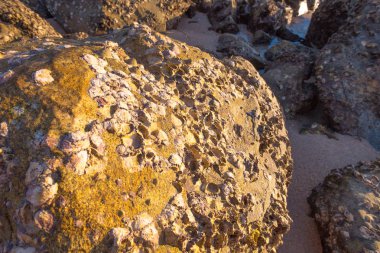 Büyük taş ya da kaya, gündüz, Tayland 