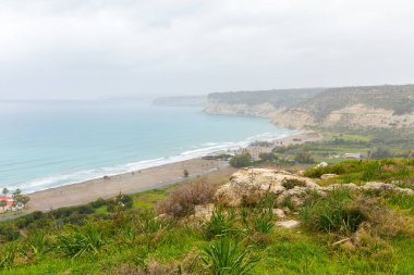 Tropik sahil zekâ denizde gündüz 