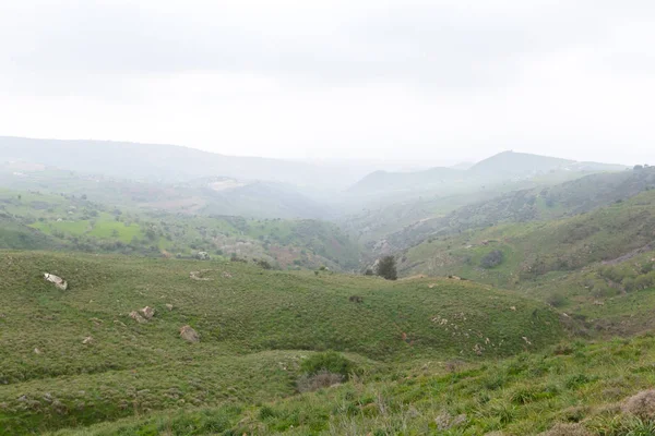 Berglandschaft Mit Blick Auf Den Wald Tal — Stockfoto