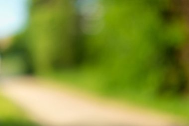 Güneşli bir günde parktaki bulanık ağaçlar ve bitkiler