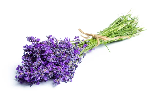 Lavender flowers on white background