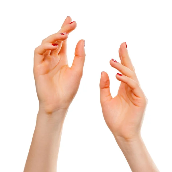 Närbild Vackra Kvinnas Händer Handflator Upp Isolerad Vit Bakgrund — Stockfoto