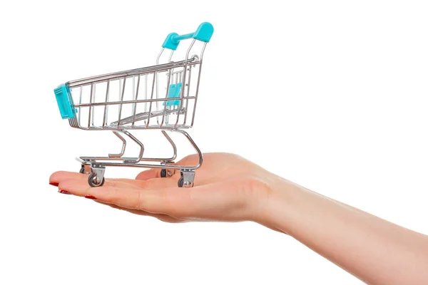 Shopping Cart Female Hands Isolated — Stock Photo, Image
