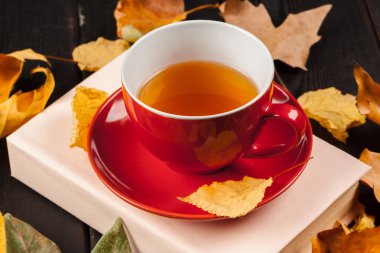 Sonbahar yaprakları, kitap ve çay.