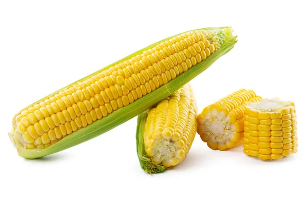 Corn White Background — Stock Photo, Image