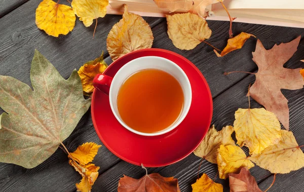 Taza Hojas Otoño Sobre Mesa —  Fotos de Stock