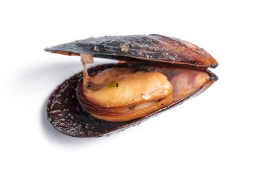 Beyaz arka planda izole edilmiş pişmiş deniz mahsullerinin üst görünümü