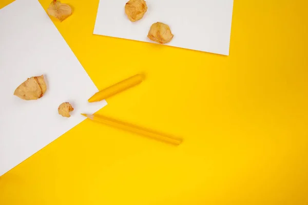 Potloden Potloodsneetjes Blanco Papier Een Bureau Tafel — Stockfoto