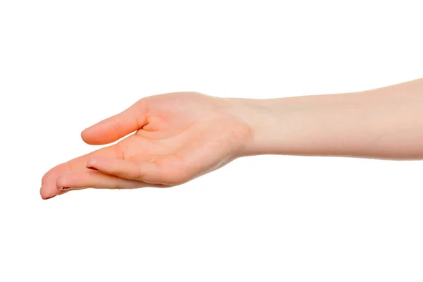 Hands Take Gesture Open Palm Holding White Backgrounds Isolated — Stock Photo, Image