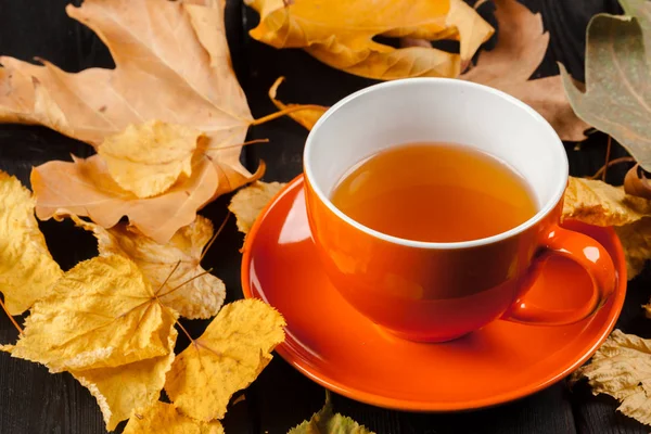 Taza Hojas Otoño Sobre Mesa —  Fotos de Stock