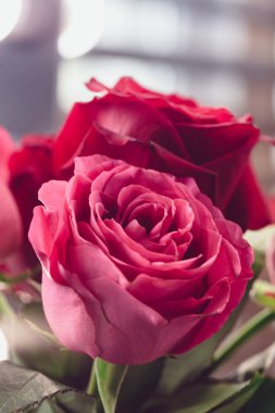 Bir buket gül kalçası, klasik tarzda.