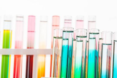 Analiz için sıvı ile cam laboratuvarı kimyasal test tüpleri yakın çekim