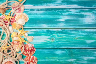 Renkli ahşap zemin üzerinde farklı deniz kabukları