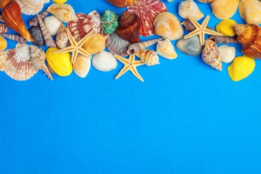 Düz yatıyordu. Üst Manzara. Mavi arkaplanda çeşitli kabukların çerçevesi.