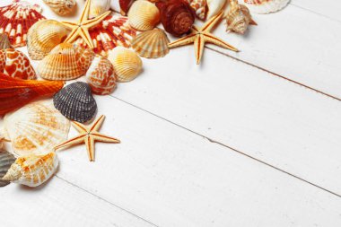 Ahşap arka planda deniz kabukları.