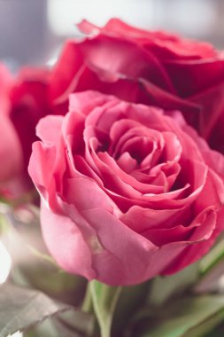 Bir buket gül kalçası, klasik tarzda.