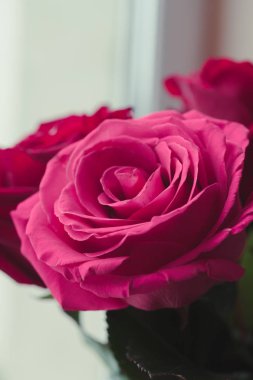 Bir buket gül kalçası, klasik tarzda.