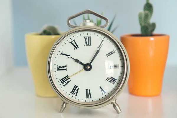 Old-fashioned alarm clock and house plant on wooden table