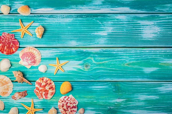 Renkli ahşap zemin üzerinde farklı deniz kabukları