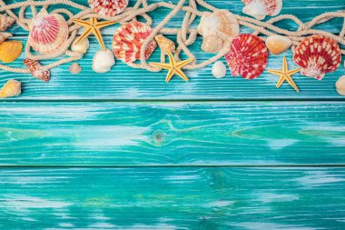Renkli ahşap zemin üzerinde farklı deniz kabukları