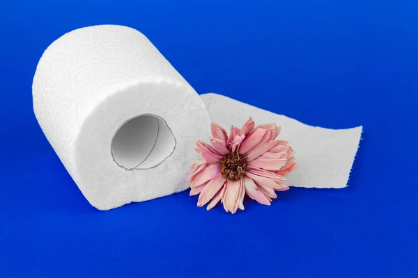 Rollos Papel Higiénico Con Flores Naturales Cerca — Foto de Stock