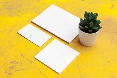 Kartvizitlerin fotoğrafı. Marka kimliği şablonu. Grafik tasarımcıları sunumları ve portföyleri için