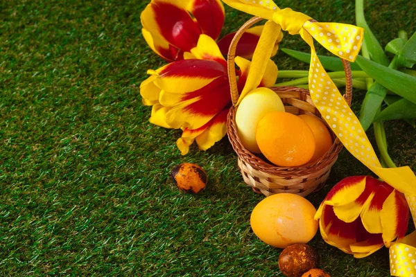 Ovos Páscoa Com Flor Grama Verde — Fotografia de Stock