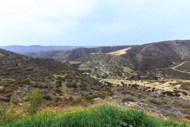 Dağ manzarası orman manzaralı Vadisi 