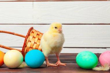 Tahta masada paskalya yumurtası taşıyan piliç.