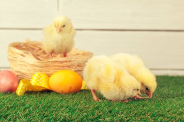 Yeşil çimlerde Paskalya yumurtası ve tavukları