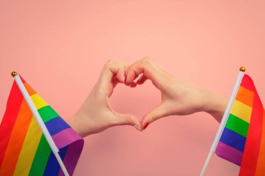 Eşcinsel gururu LGBT gökkuşağı bayrağıyla el işareti yapıyor